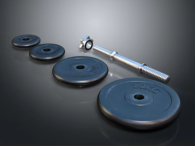 High Quality Black Dumbbell Plates And Silver Barbell Bar Fitness Equipment Set 3d model