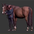 Person In Blue Jacket Caring For Brown Horse With Gentle Interaction And Grooming