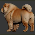 Orange Chow Chow Dog with Fluffy Fur and Curly Tail Standing on Dark Surface