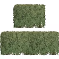 Well Trimmed Lush Green Bushes for Garden Landscape Decoration and Outdoor Design