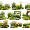 Beautiful Assorted Flowers and Green Plants Including Shrubs and Vines for Garden Landscaping
