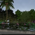 Tranquil Garden Landscape With Pond Water Lilies Palm Willow Trees Green Plants Rocks