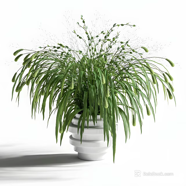 Bonsai Potted Plant With Slender Green Leaves In White Ceramic Pot 3d model 