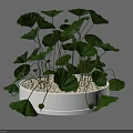 Round White Vase With Green Leafy Plants And White Pebbles Interior Decor 3d model