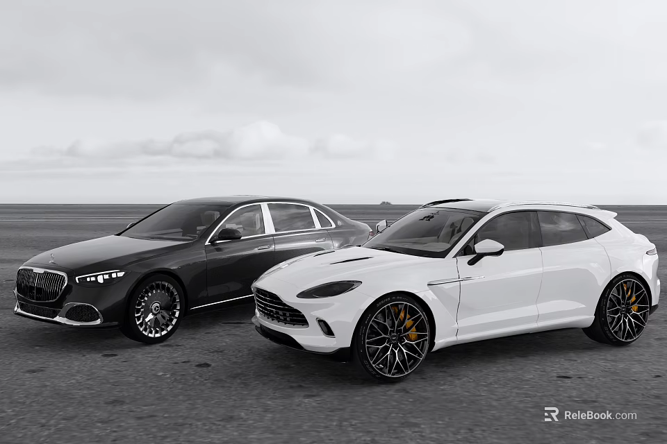 Two Stylish Black And White Cars Parked On Open Outdoor Road Scenic View 3d model 