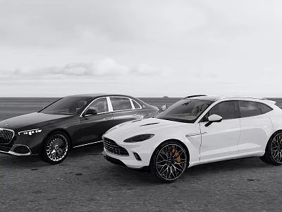 Two Stylish Black And White Cars Parked On Open Outdoor Road Scenic View 3d model