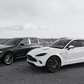 Two Stylish Black And White Cars Parked On Open Outdoor Road Scenic View