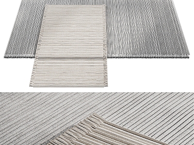 Carpet Combination Woven Carpet 3d model