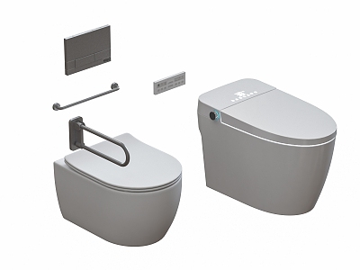 Barrier-free smart toilet model