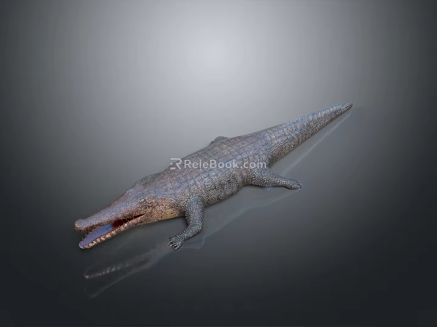Crocodile Alligator Nile Crocodile carnivore reptile cold-blooded animal reptile 3d model