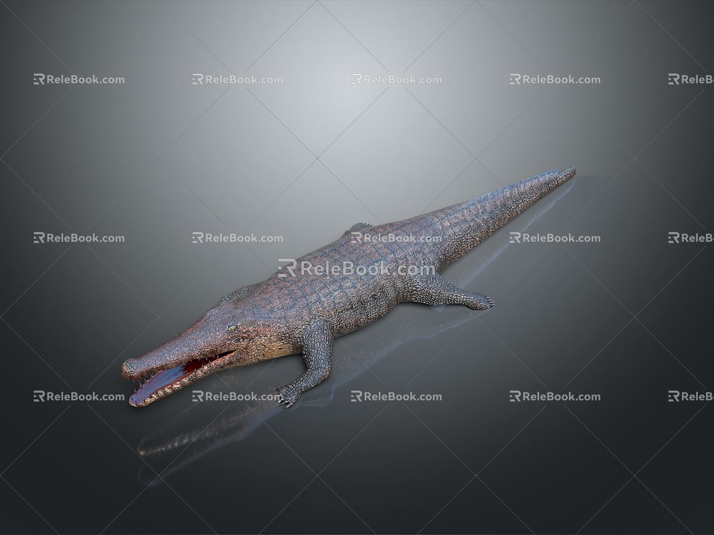 Crocodile Alligator Nile Crocodile carnivore reptile cold-blooded animal reptile reptile 3d model