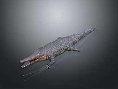 Realistic 3D Reptile Crocodile with Open Mouth and Scaly Skin on Gray Background 3d model