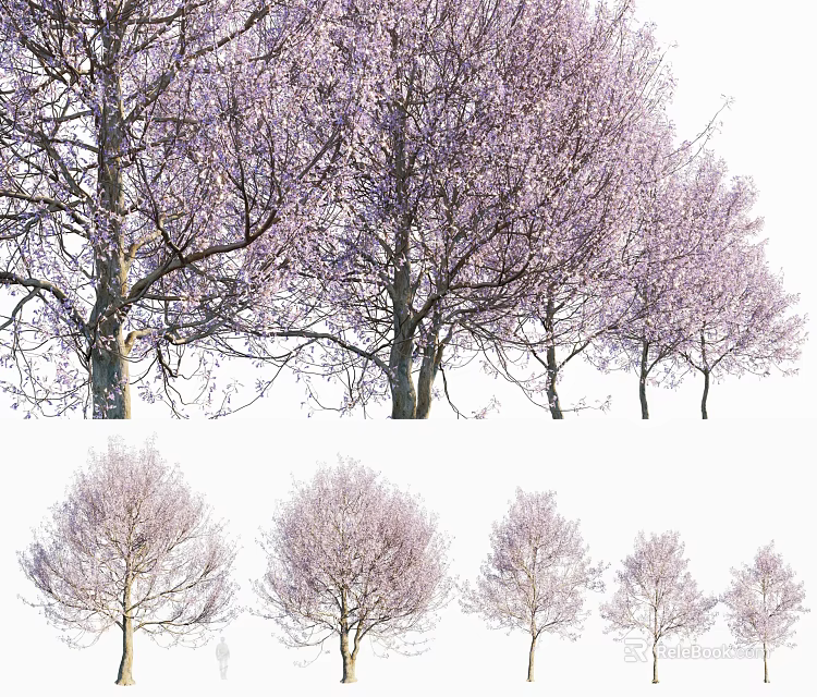Blooming Pink Arbor Trees With Flowering Branches In Various Sizes 3d model 