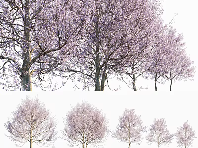 Blooming Pink Arbor Trees With Flowering Branches In Various Sizes 3d model