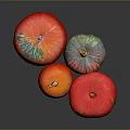 Colorful Fresh Pumpkins in Red Orange and Green Striped Hues on Dark Display Background