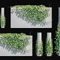 Green Vines with Lush Foliage Covering White Walls and Wrapping Around Columns