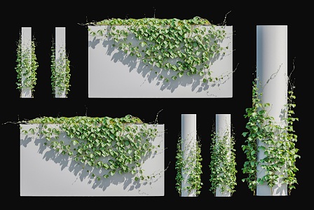 Modern Chinese Medicine Deer Hui Vine Plant Chinese Herbal Medicine Vine Climbing Wall Plant Vine Pillar Plant Wall Parthenocissus Vine Plant Green Plant Wall Vine 3d model