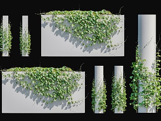 Modern Chinese Medicine Deer Hui Vine Plant Chinese Herbal Medicine Vine Climbing Wall Plant Vine Pillar Plant Wall Parthenocissus Vine Plant Green Plant Wall Vine 3d model