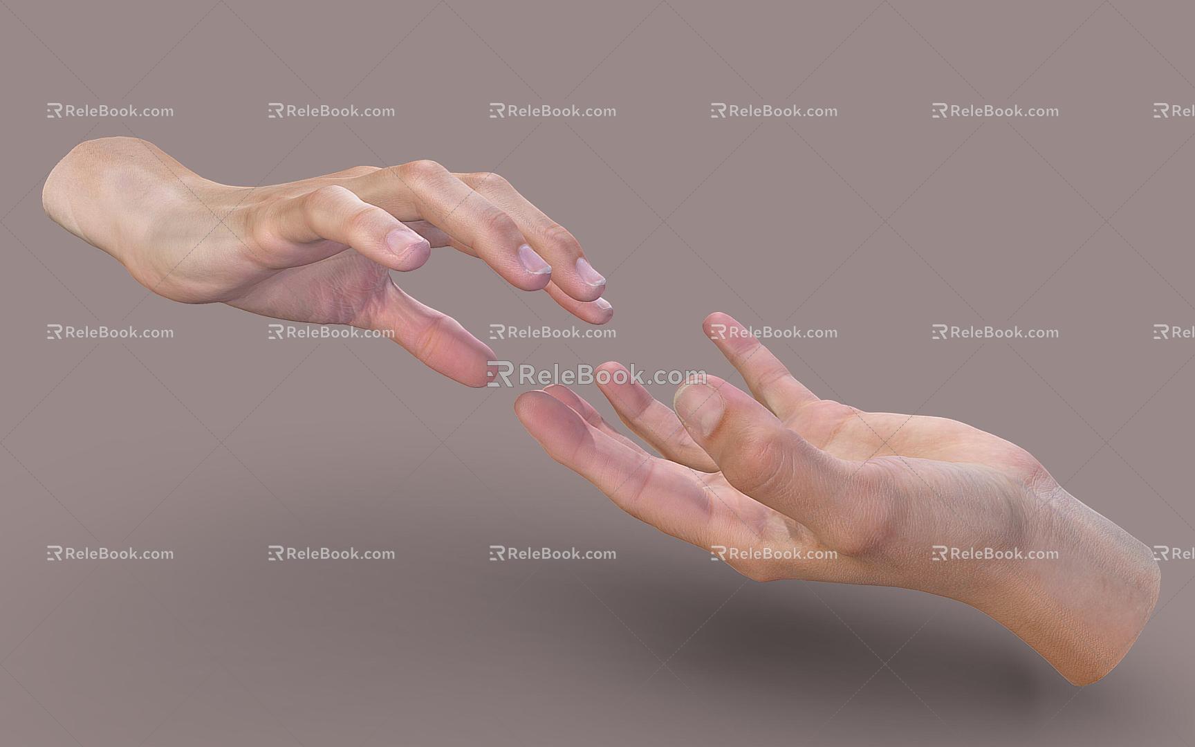 Hand female hand gesture 3d model