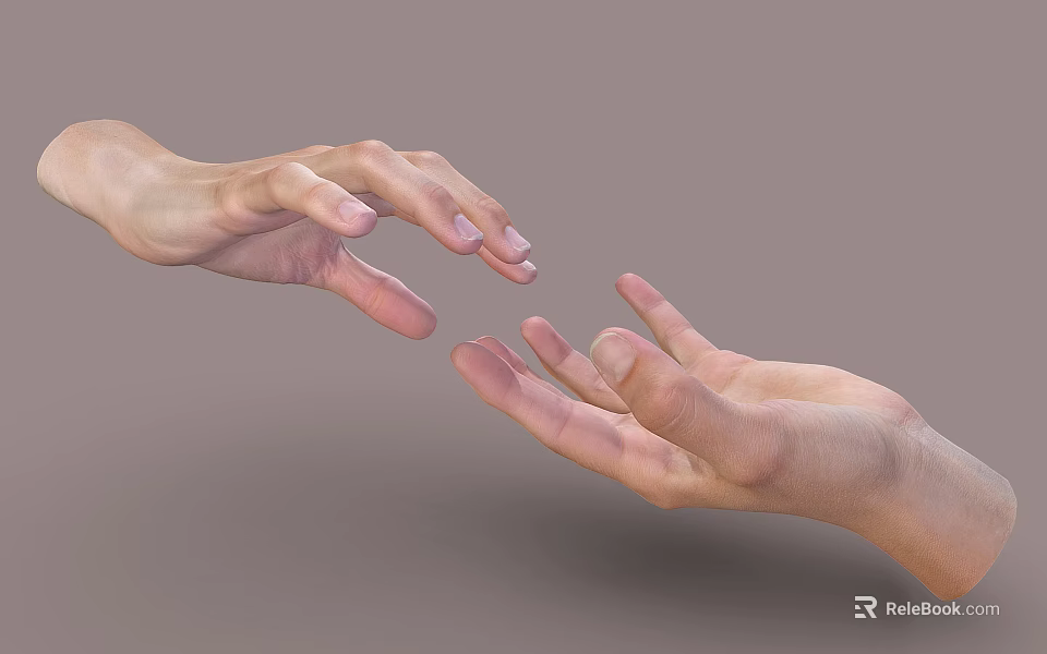 Woman's gentle hands reaching out softly towards each other on gray background 3d model 