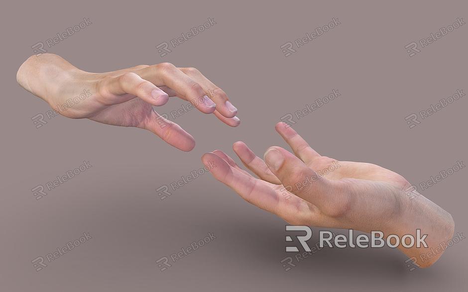 Hand female hand gesture model