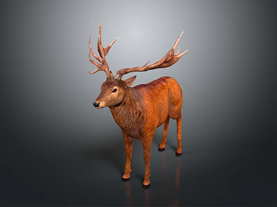 Brown 3D Model Deer With Large Antlers Standing In Realistic Detailed Pose 3d model