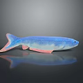 Vibrant Blue And Pink Aquatic Fish With Shiny Body And Reflective Surface