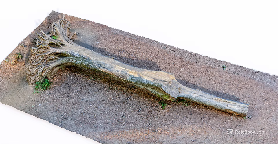Natural Fallen Arbor Trunk Lying on Soil with Small Green Plants 3d model 