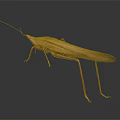 Brown Insect With Long Antennae Slender Legs Glossy Exoskeleton On Gray Gradient Background 3d model
