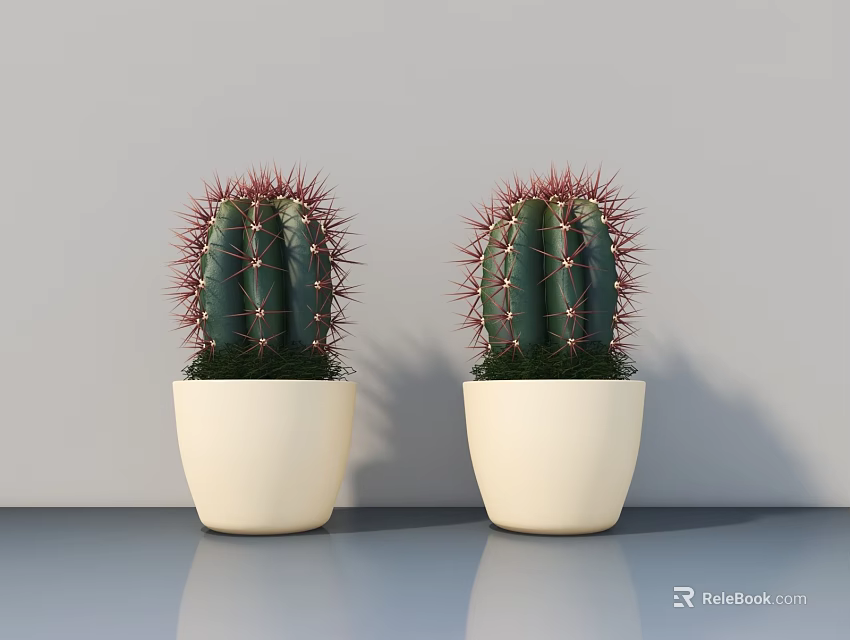 Two Green Cactus Potted Plants in Light Colored Pots on Blue Tabletop with Gray Wall 3d model 