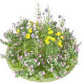 Vibrant Circular Garden With Mixed Flowers Yellow Purple Blooms And Green Leaves
