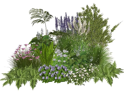 Diverse Garden Plant Combination With Purple Pink White Flowers And Ferns 3d model