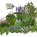 Diverse Garden Plant Combination With Purple Pink White Flowers And Ferns
