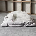 White Long Haired Cat Lying On Soft Gray Cushion With Wooden Grid Shelf