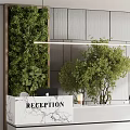 Modern Elegant Reception Desk With Marble Countertop Green Plants And Hanging Greenery