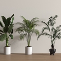 green plant potted floor plant 3d model