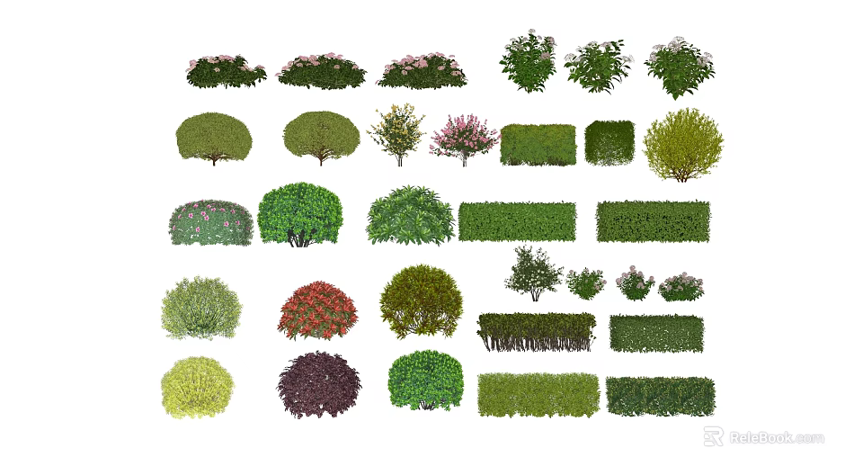 Various Types Of Garden Shrubs With Different Shapes And Colorful Foliage 3d model 