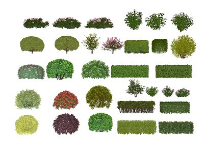 Various Types Of Garden Shrubs With Different Shapes And Colorful Foliage 3d model
