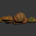 Striped And Solid Color Pumpkins With Various Sizes And Green Leaves 3d model