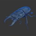 Modern beetle dung beetle beetle chafer 3d model