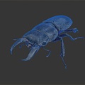 Modern beetle dung beetle beetle chafer 3d model