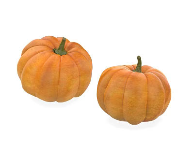 Two Fresh Ripe Orange Pumpkins with Green Stems Isolated on White Background 3d model