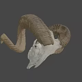 Detailed Ram Skull With Large Curved Horns On Black Background