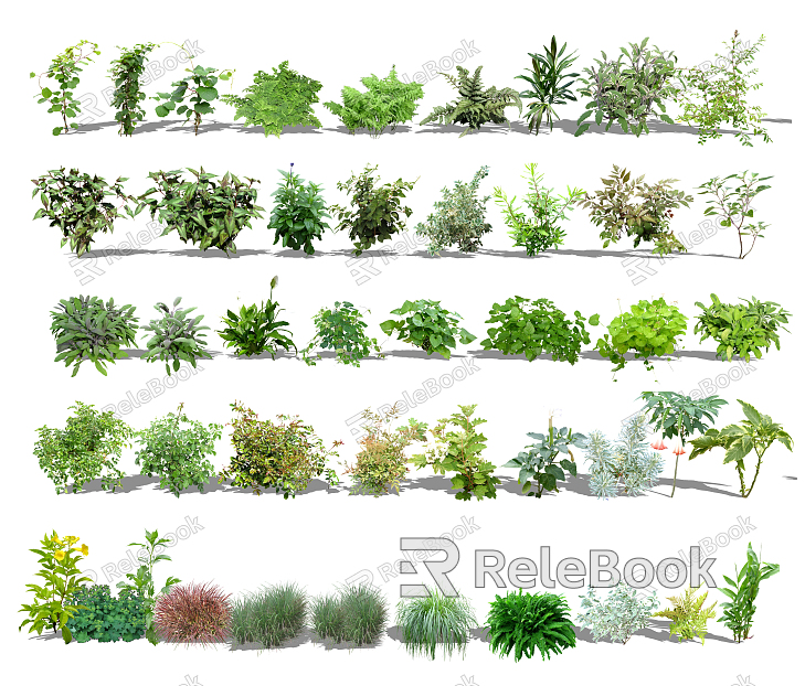 Modern shrub irrigation plants model