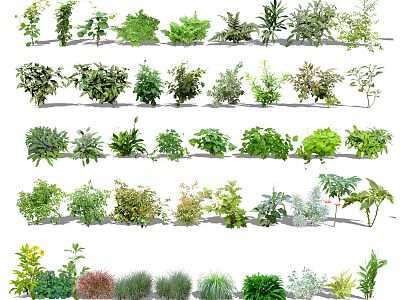 Modern shrub irrigation plants model