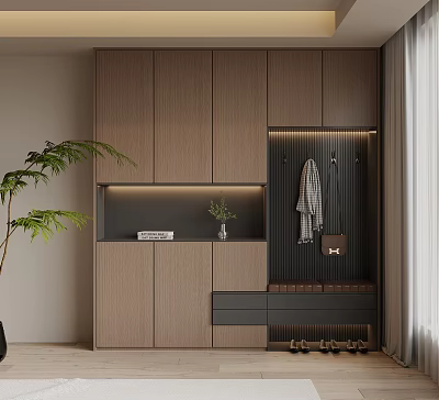 Modern Shoe Cabinet With Storage Space Coat Hooks And Indoor Plant In Home Entryway 3d model
