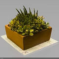 Healthy Green Succulent Plants In Orange Rectangular Planter With Mixed Foliage