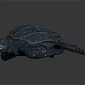 Detailed Dark Colored Turtle With Textured Shell And White Spotted Flippers 3d model