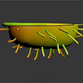 3D Model of Bacteria Showing Organ Like Structures And Hair Like Appendages