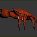 Vibrant Red Crab Featuring Large Claws And Long Legs On Gray Background 3d model